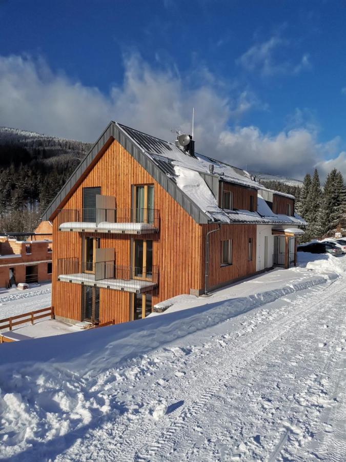 Apartman Pod Sjezdovkami Dolni Morava Luaran gambar